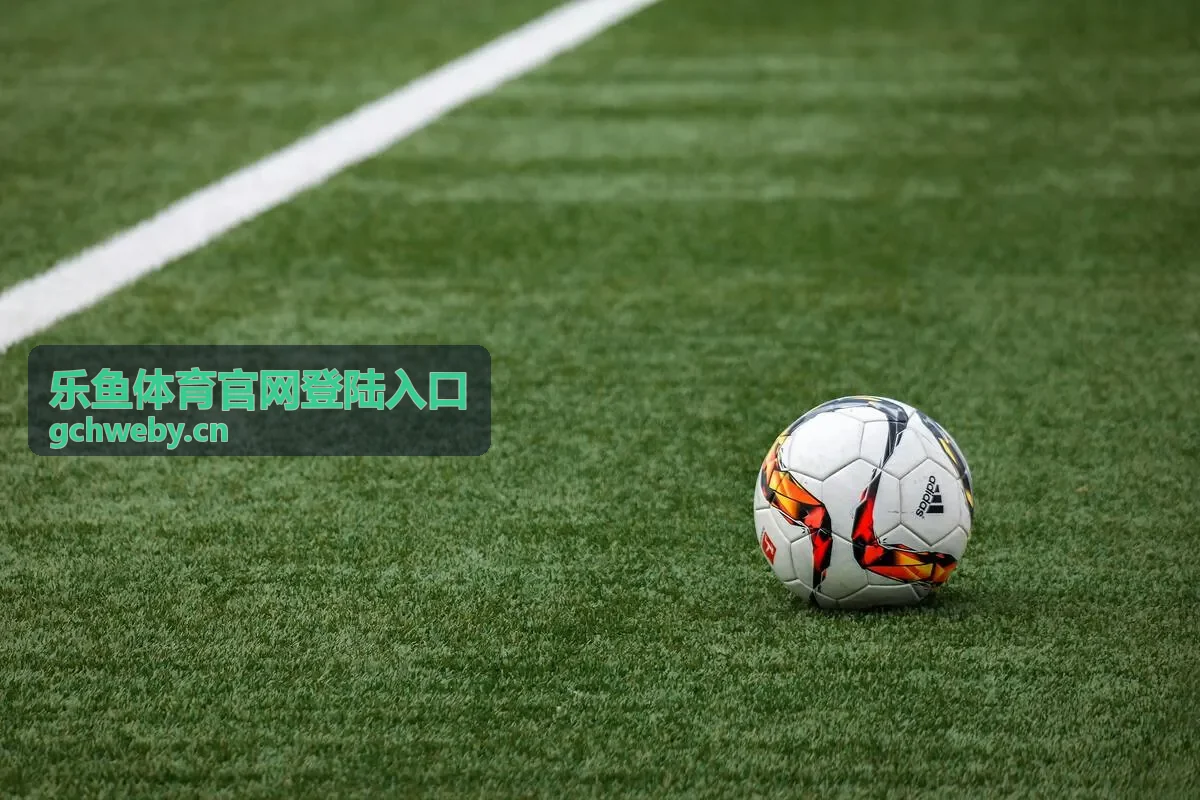 乐鱼体育官网登陆入口账号安全与验证封面